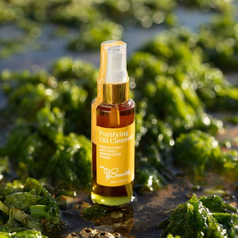 Purifying Oil Cleanser - Beeautify