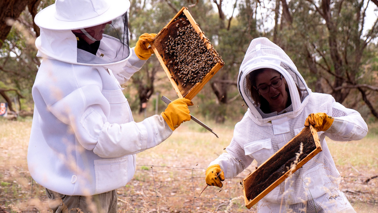 Beeautify ethical and sustainable beekeepers