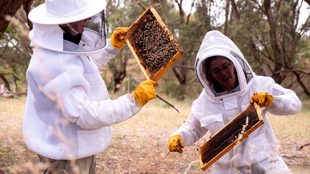 Why is beekeeping important?